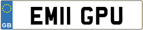 Trailer License Plate